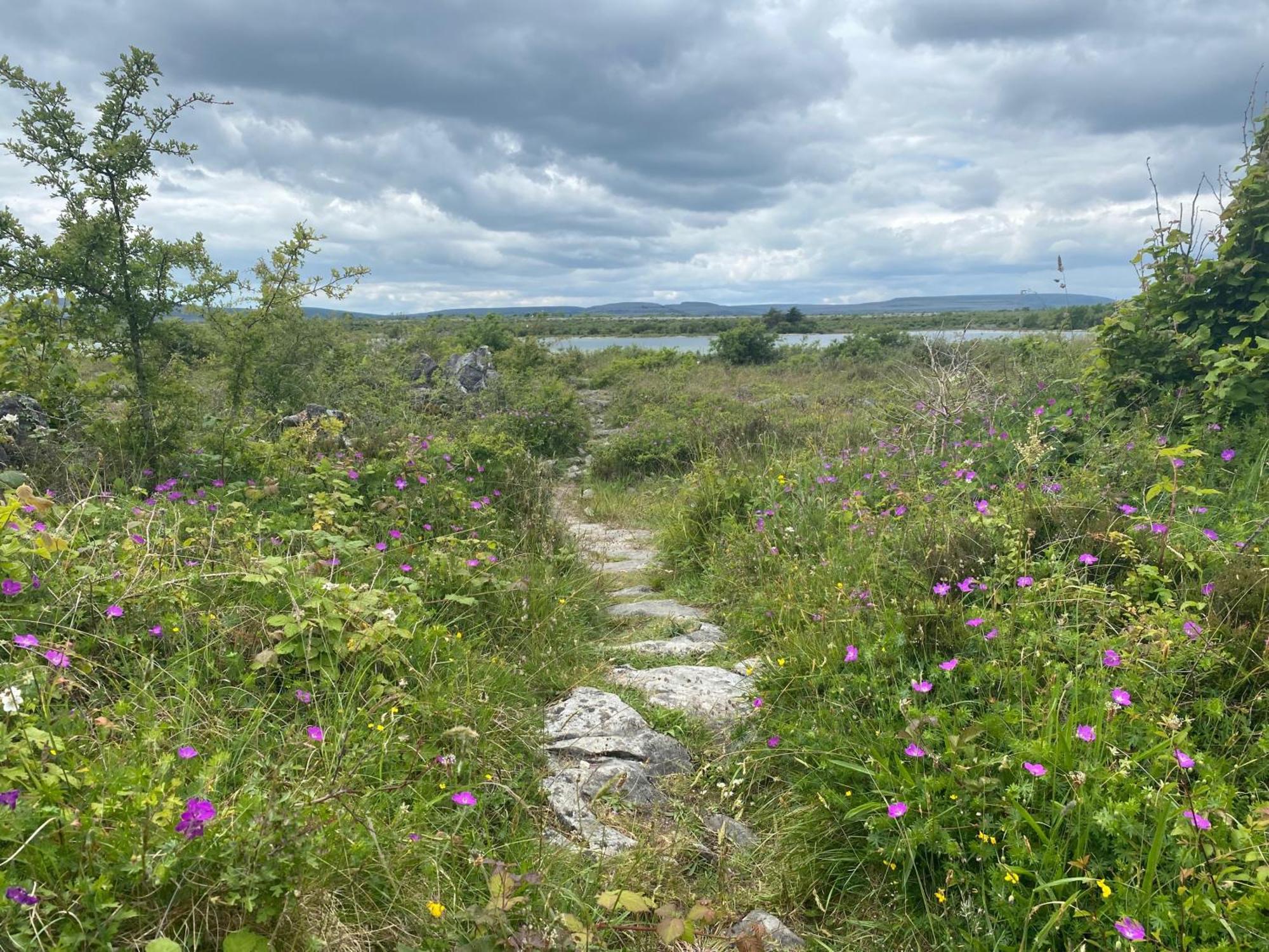 Luxury Glamping Dome With Views Of The Burren Villa Boston Exterior foto